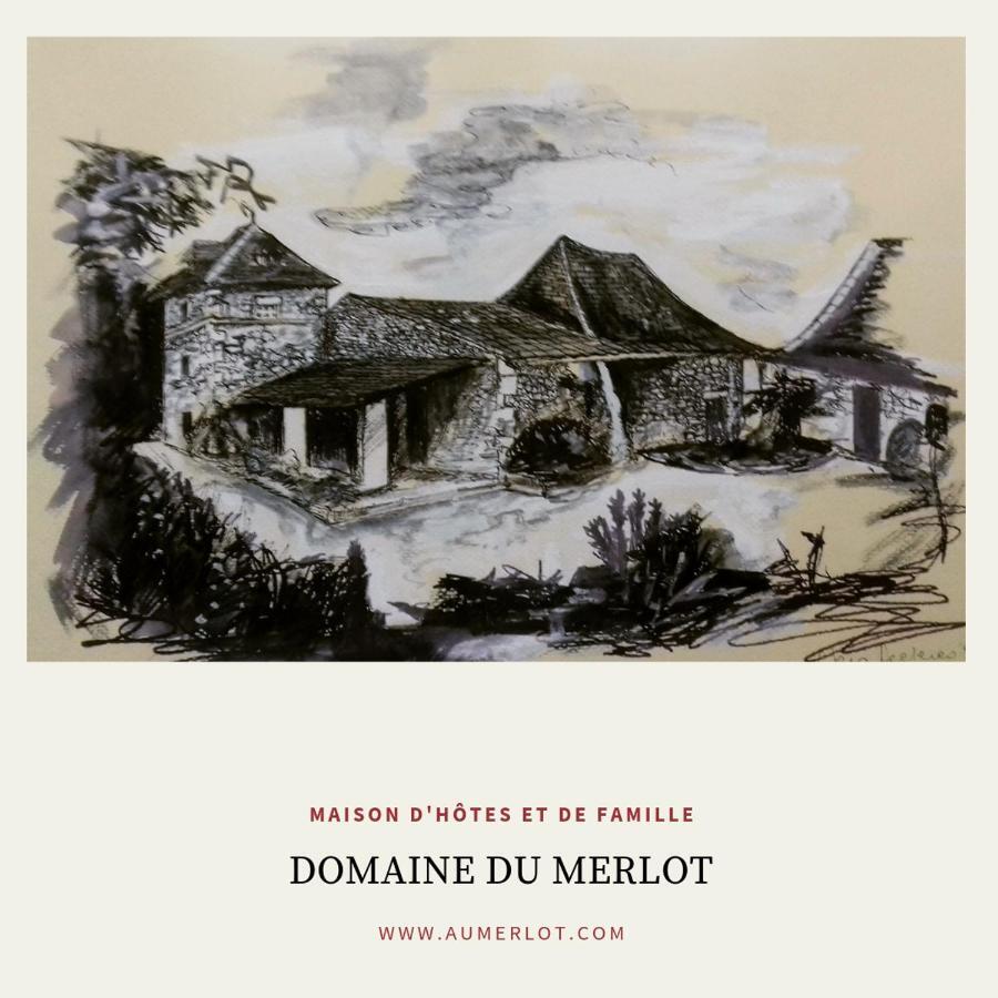 Domaine Du Merlot Sainte-Sabine-Born Exterior photo